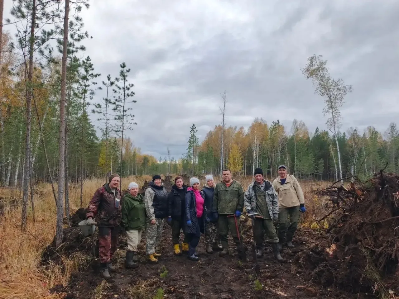 В Усольском лесничестве продолжаются мероприятия по лесовосстановлению 🌲