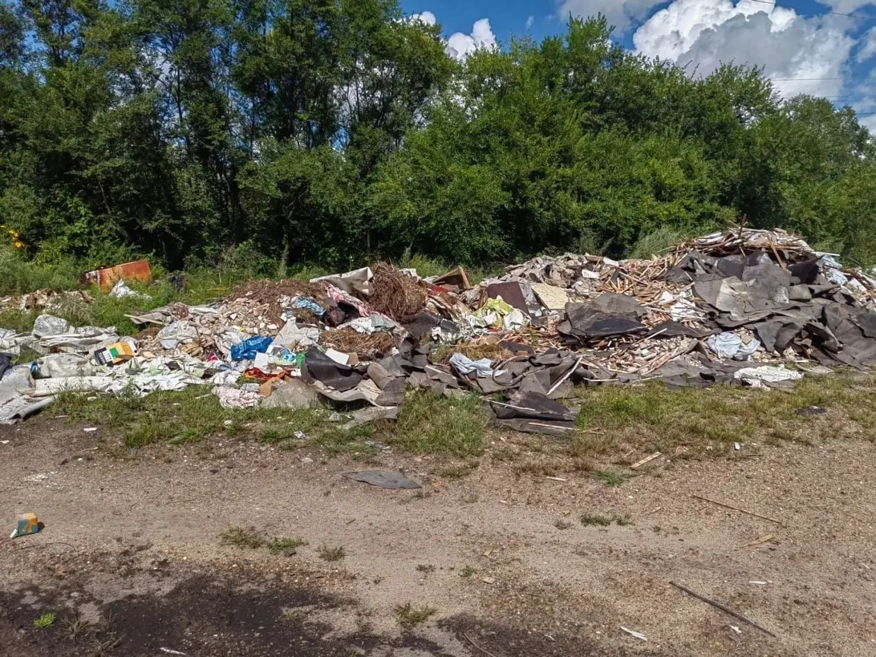 В Биробиджане убрали свалку с останками животных