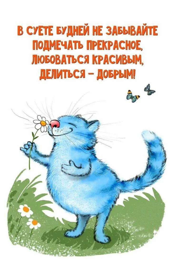 #Цитаты ✨