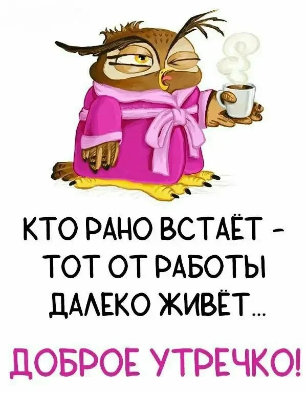 У каждого из нас свой рецепт идеального дня: кому-то нужно успеть 10 дел, а кому-то — п...