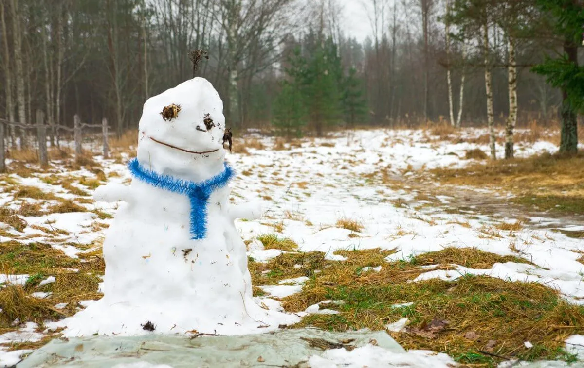 🌨Зима в России будет аномально тёплой и даже бесснежной — климатологи