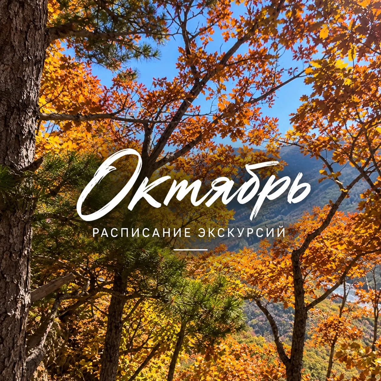 Расписание экскурсий на октябрь