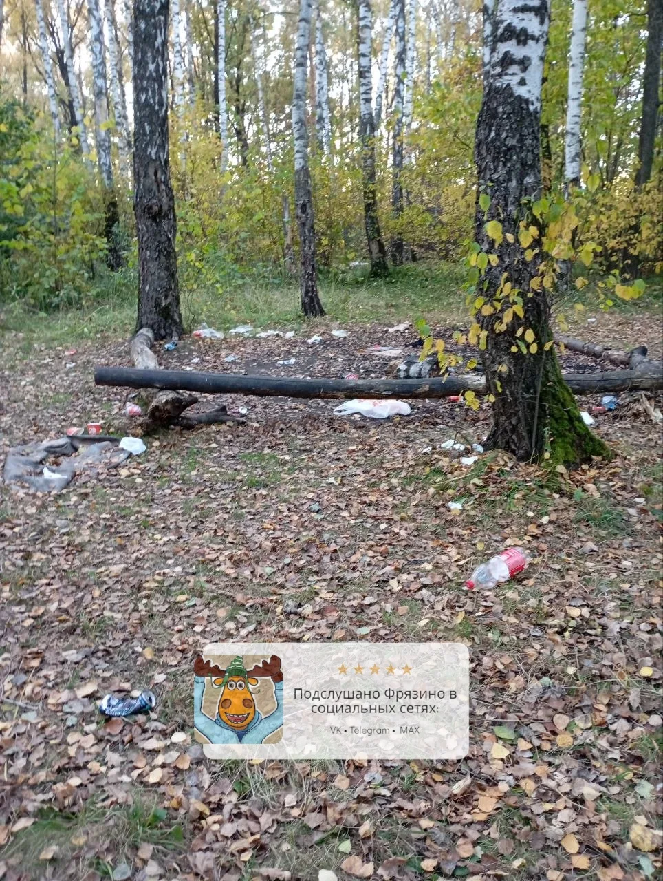 Вот так сегодня посидела, отдохнула фрязинская семейка с детьми в лесу (Полевая, конечн...