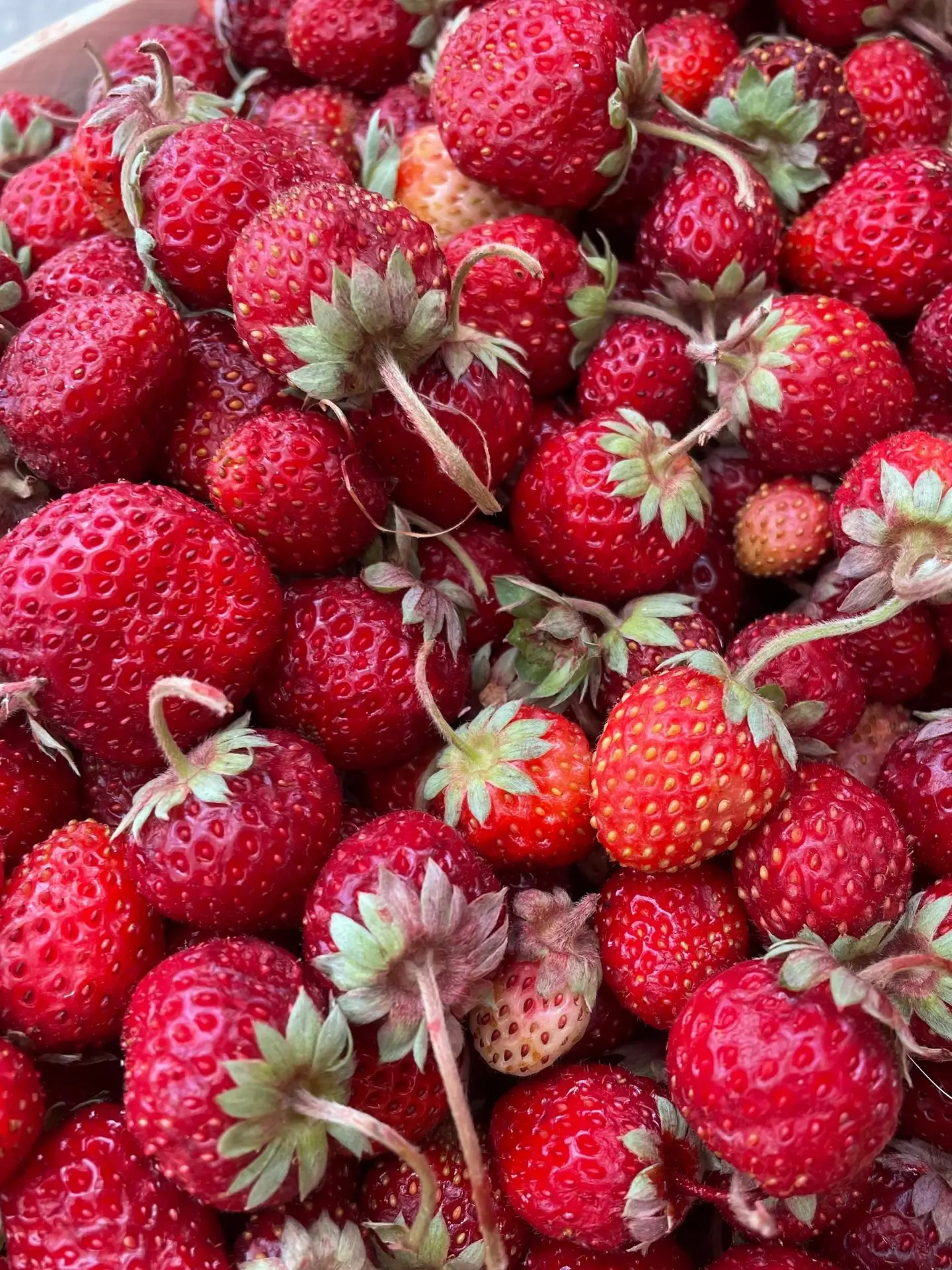 🍓🔥Сегодня ягода дешевле!