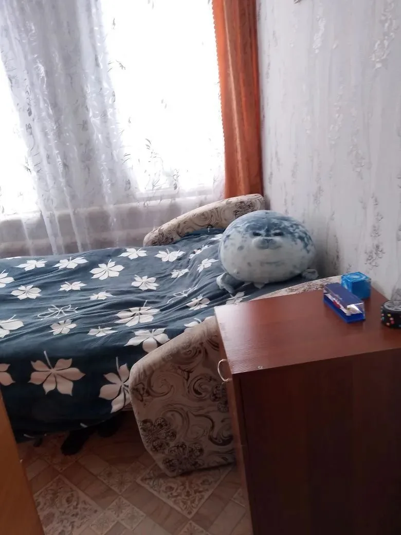 Отличаются 2 тюленя? правильные и смешные ответы