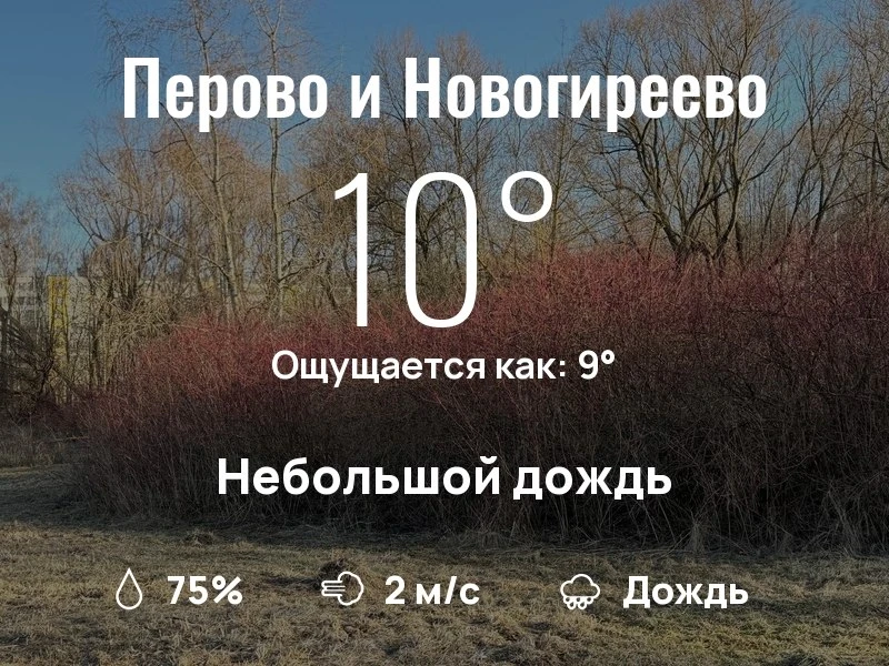 Что с погодой в Перово и Новогиреево?