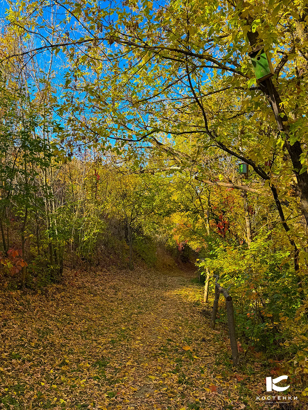 Уютные осенние выходные в Костенках 🍁📅
