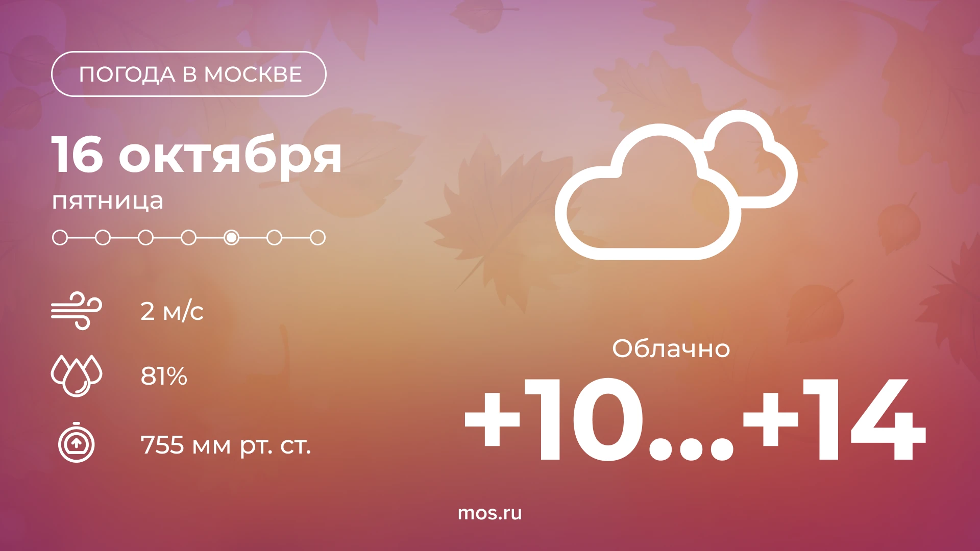 ☁️ Сегодня в Москве будет облачно. По прогнозам синоптиков, до 10:00 в столице также со...