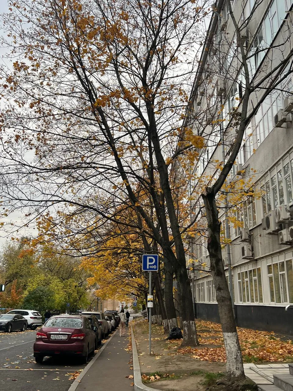 Как-то тоскливо прям