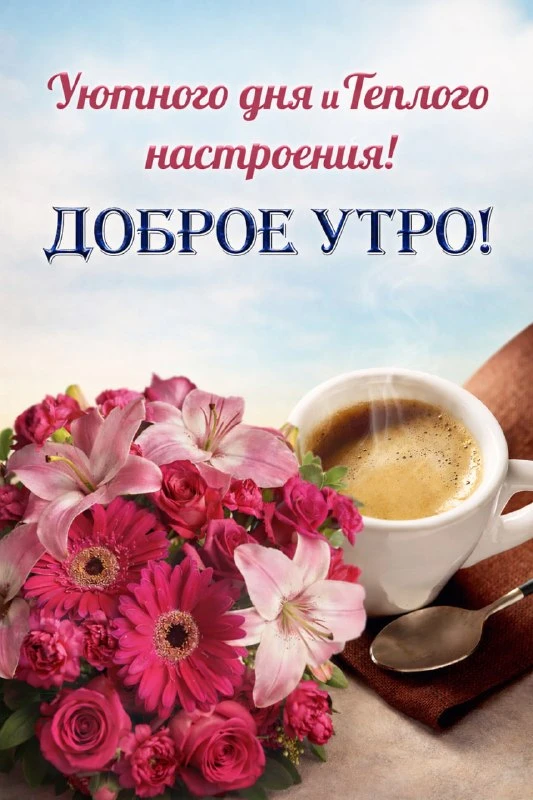 НАШИ КАНАЛЫ: