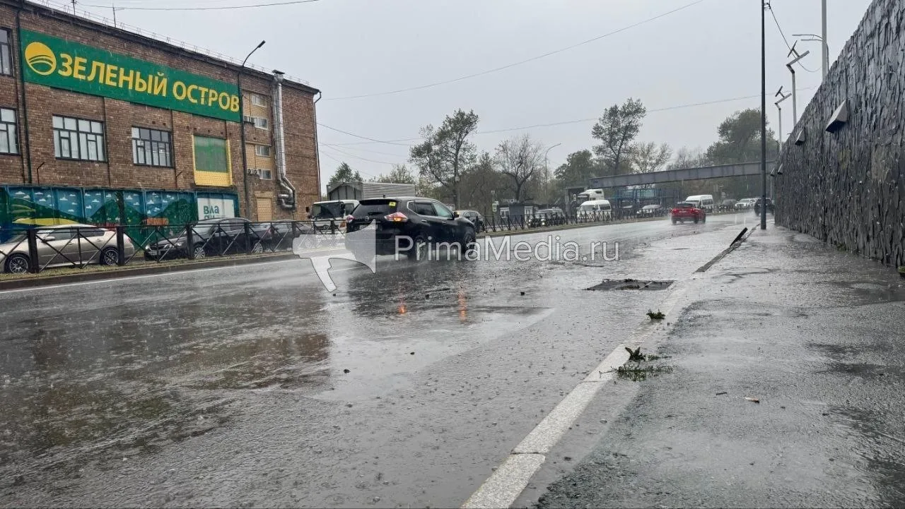 Автомобильные номера на дороге: участок на Зеленом острове во Владивостоке пережил потоп
