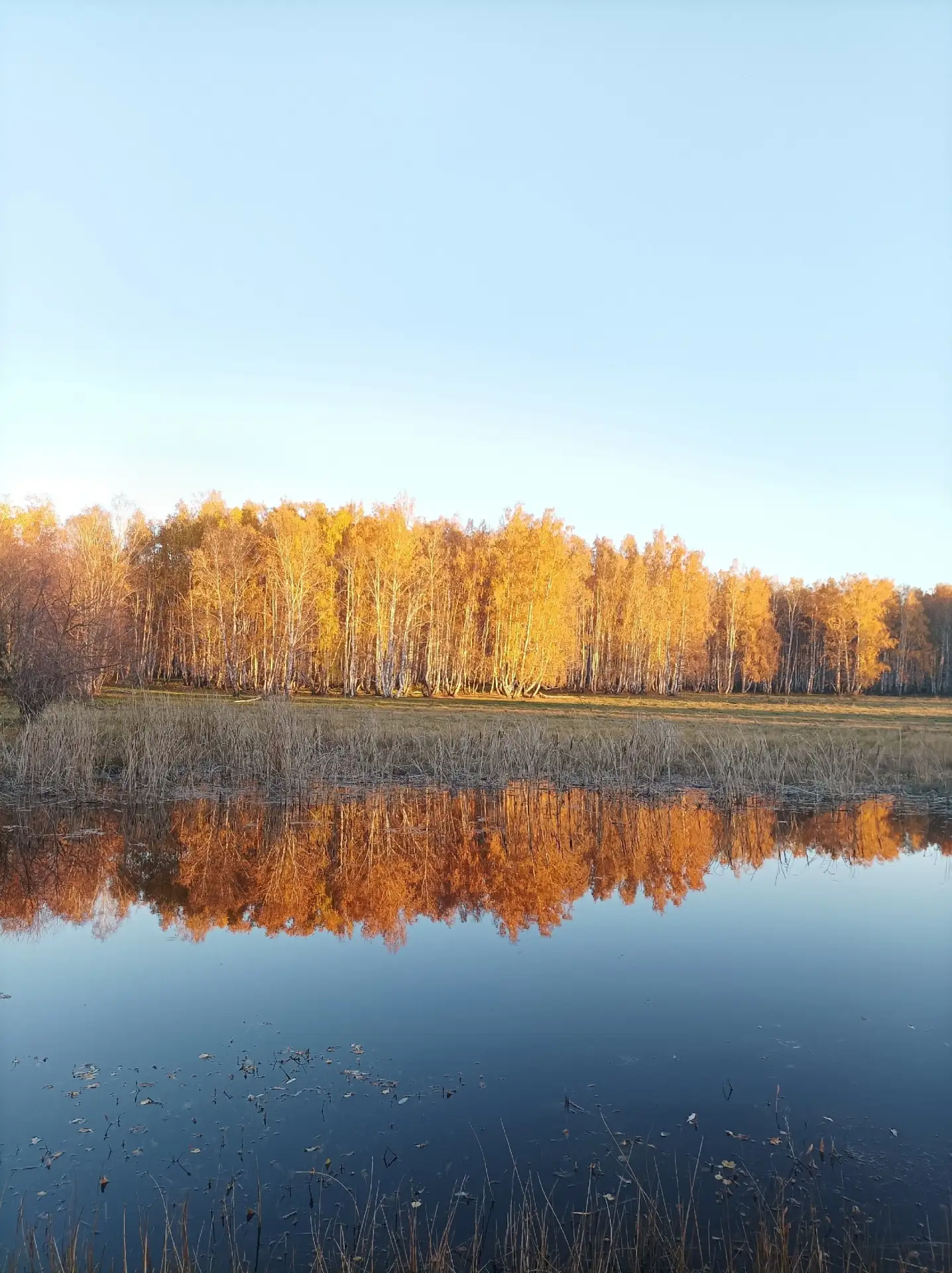 ☀️Башҡортостанға йәйге ҡояш кире ҡайтты
