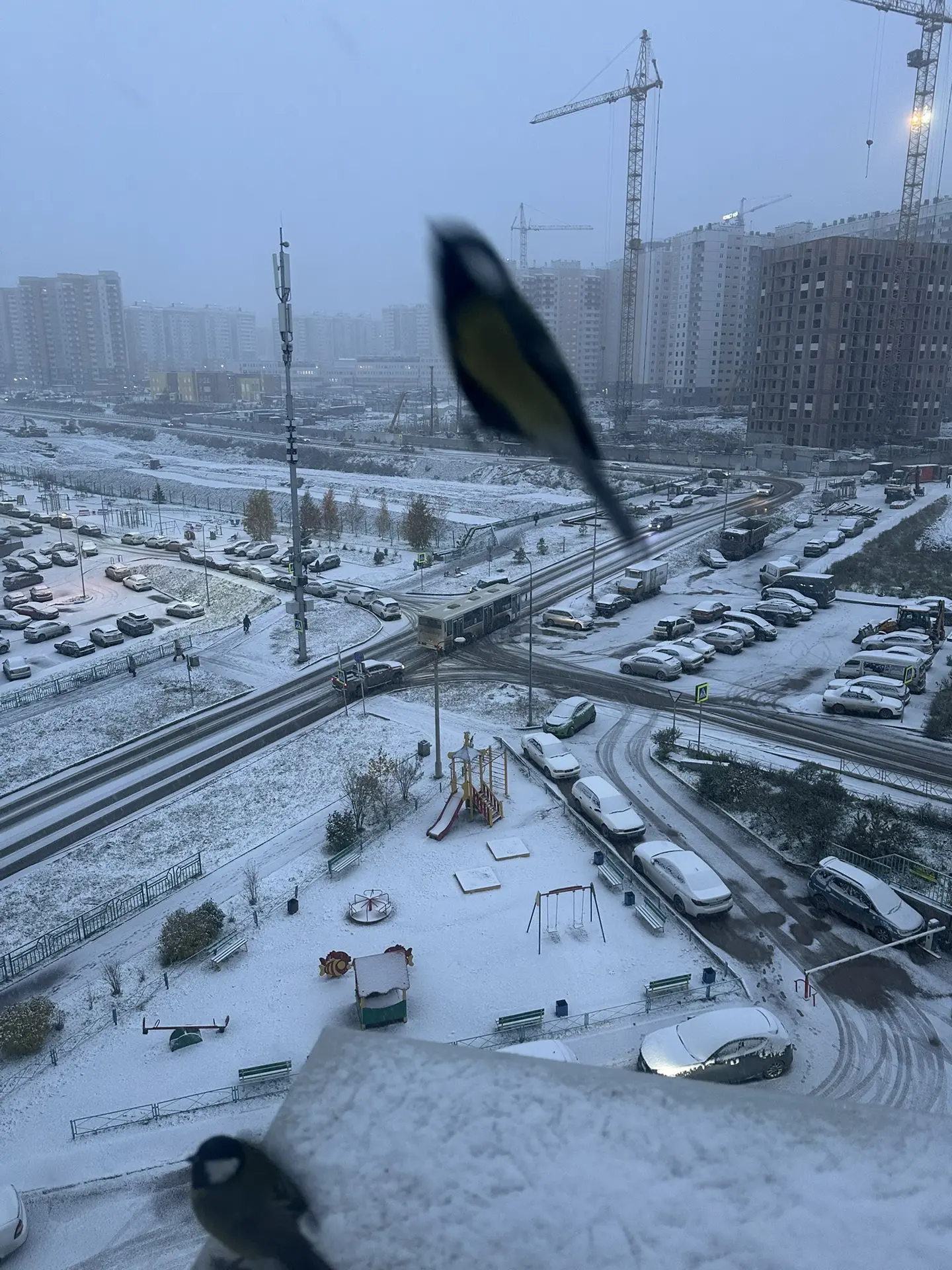 Зима день второй ❄️⛄️