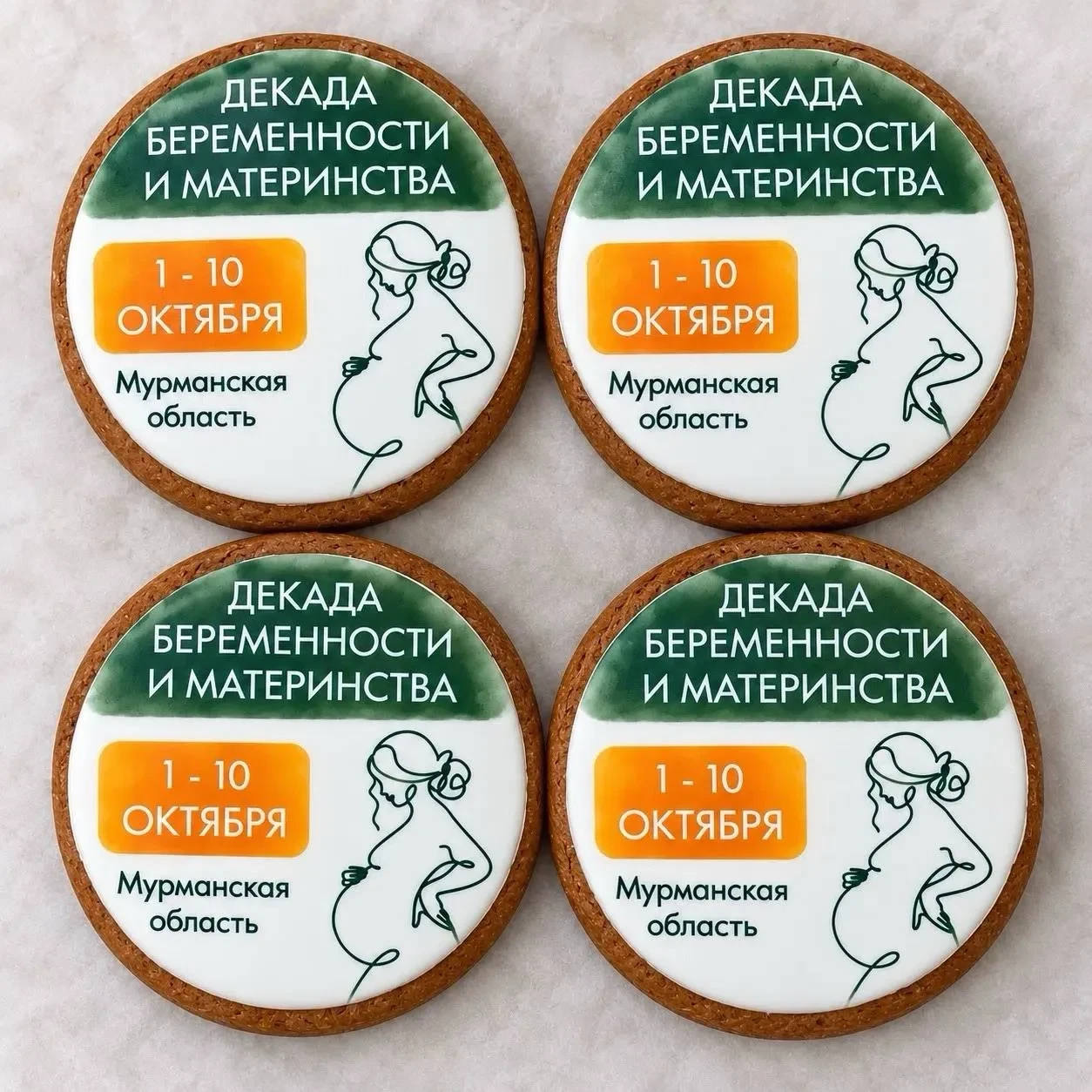 В Мурманской области проходит Декада беременности и материнства