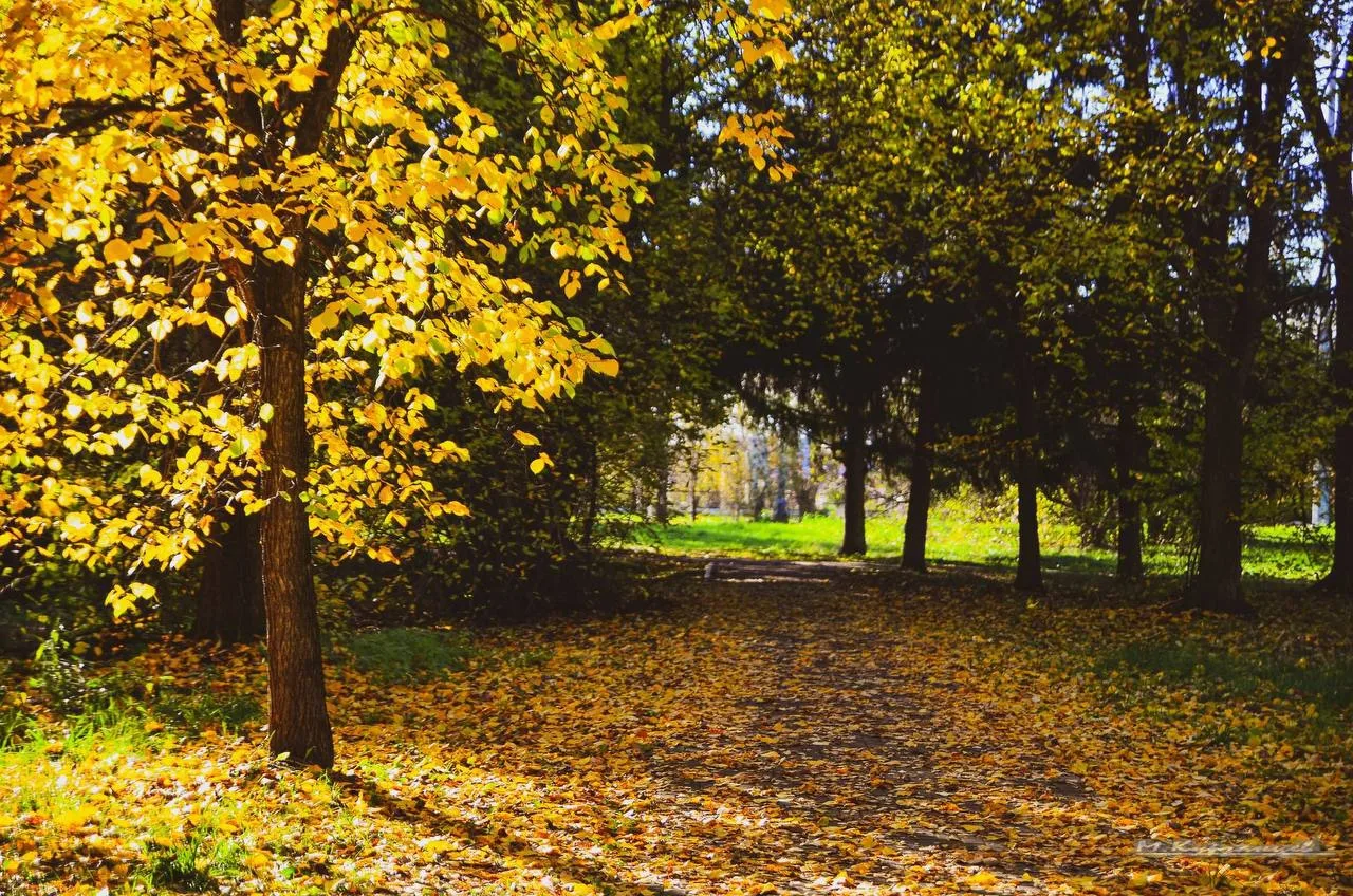 Унылая прекрасная пора, очей очарование🤩 🍂