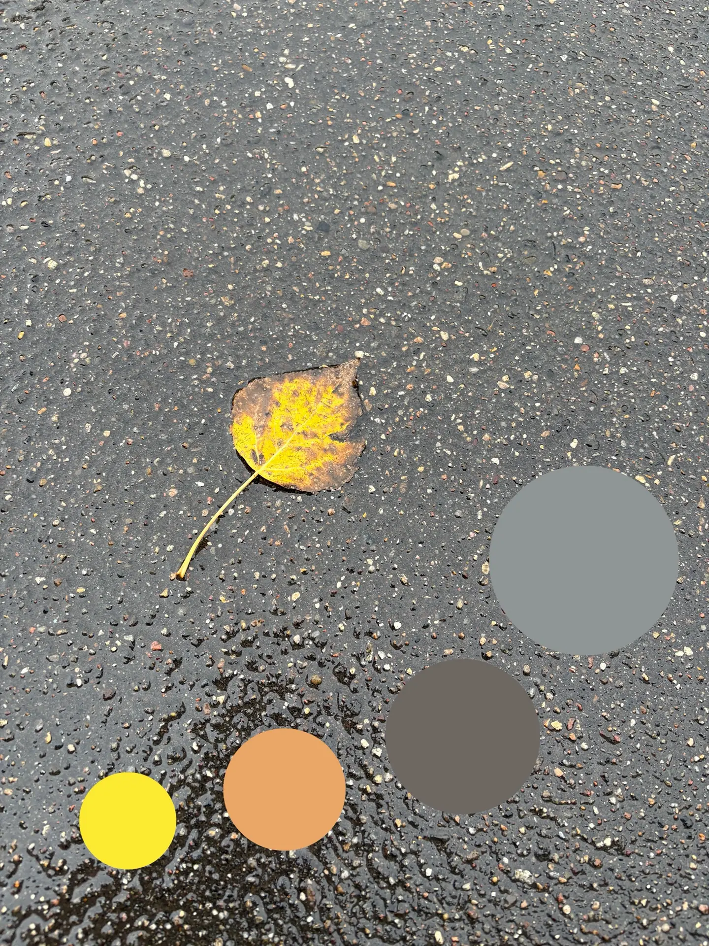 Цвета сегодняшнего дня 🍂