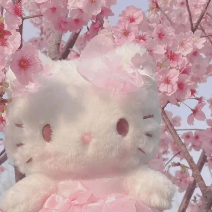 ⊹₊⋆☁︎⋆⁺₊Х϶᧘᧘᧐у 𐌺ᥙᴛᴛᥙ⁺₊⋆☁︎⋆₊ ⊹
