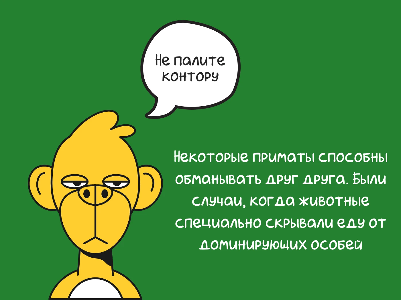 😉 Всё заканчивается... но только не наши факты о животных. Встречайте октябрьскую подб...