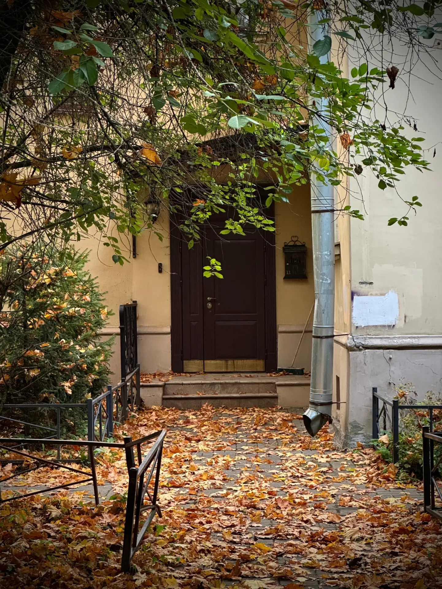 🍂 Яркий октябрь в районе немецких коттеджей на Старой Деревне и Чёрной Речки от соседа...