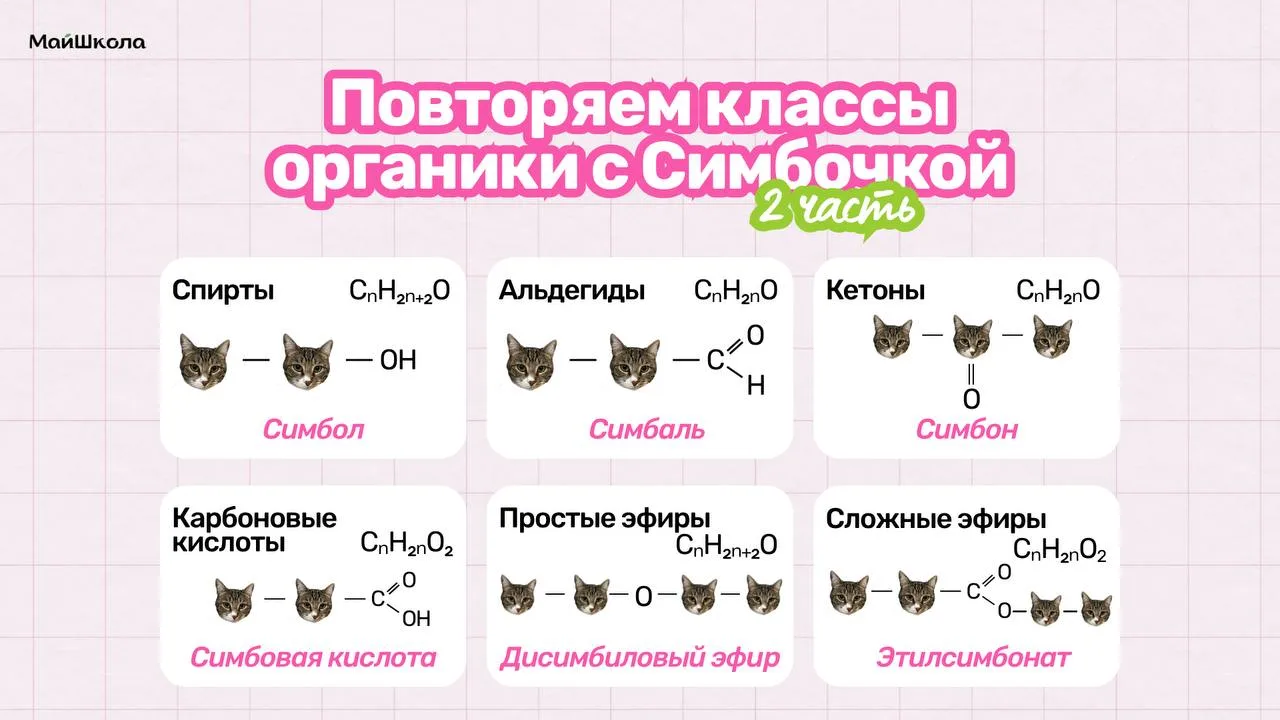 🤩 Повторяем классы органики с Симбочкой! 2 часть