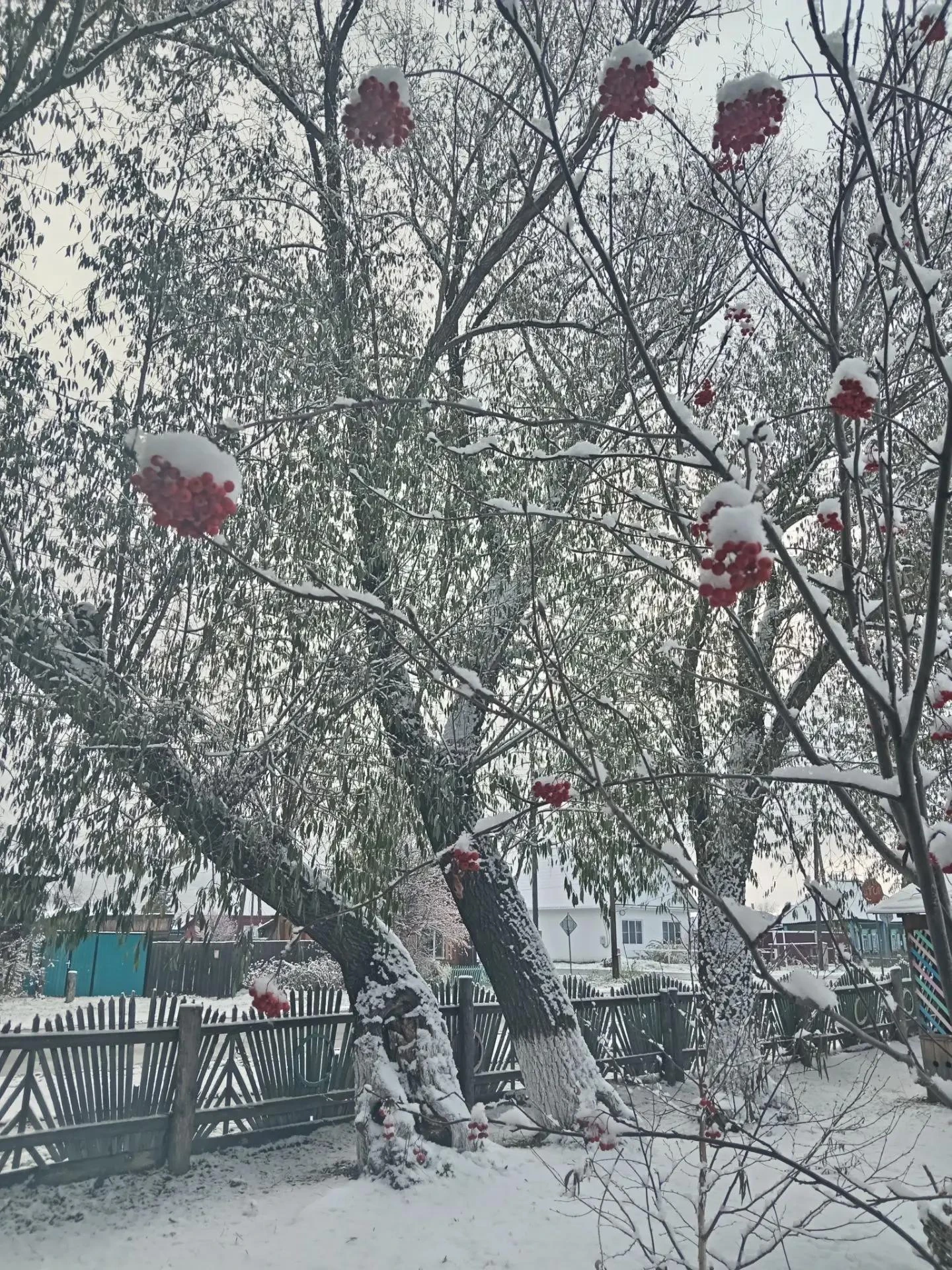 ❄️Снег прошел, а красивые фото📸 остались. Заснеженный Дом детского творчества запечатл...