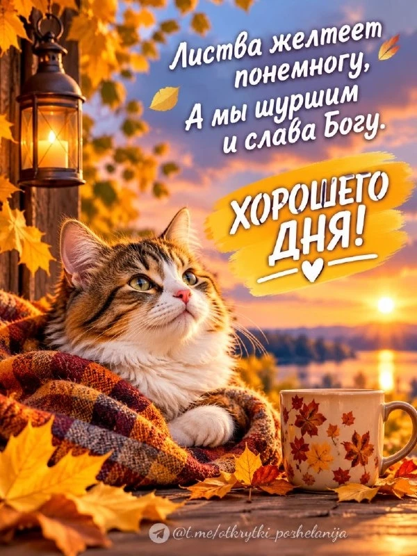 Открытки: подписаться ❤️