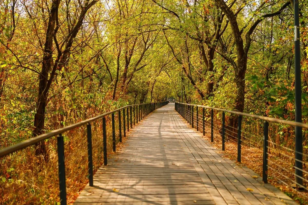 🍂 Осень в парке Яуза особенно прекрасна!