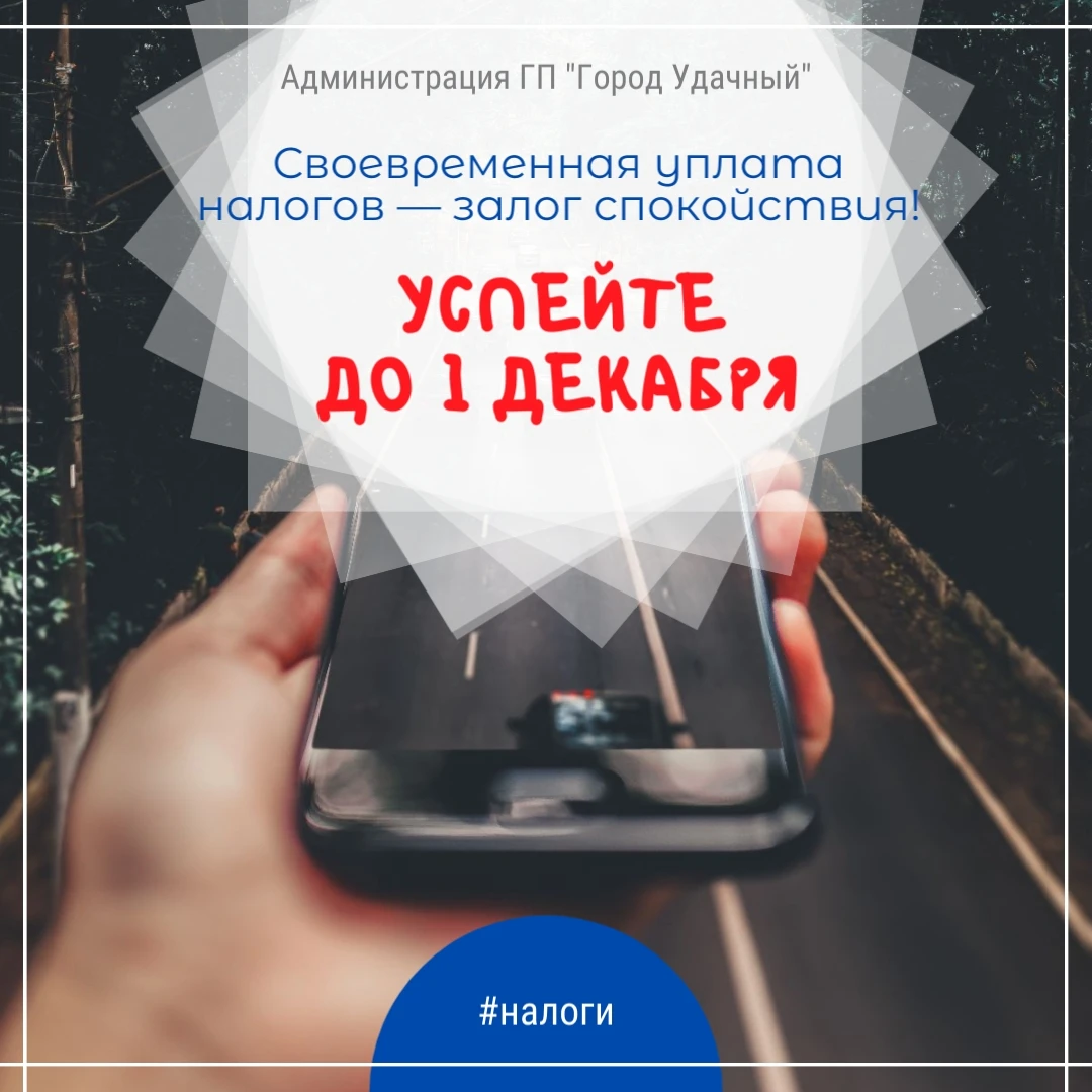✅ Срок уплаты имущественных налогов — до 1 декабря.