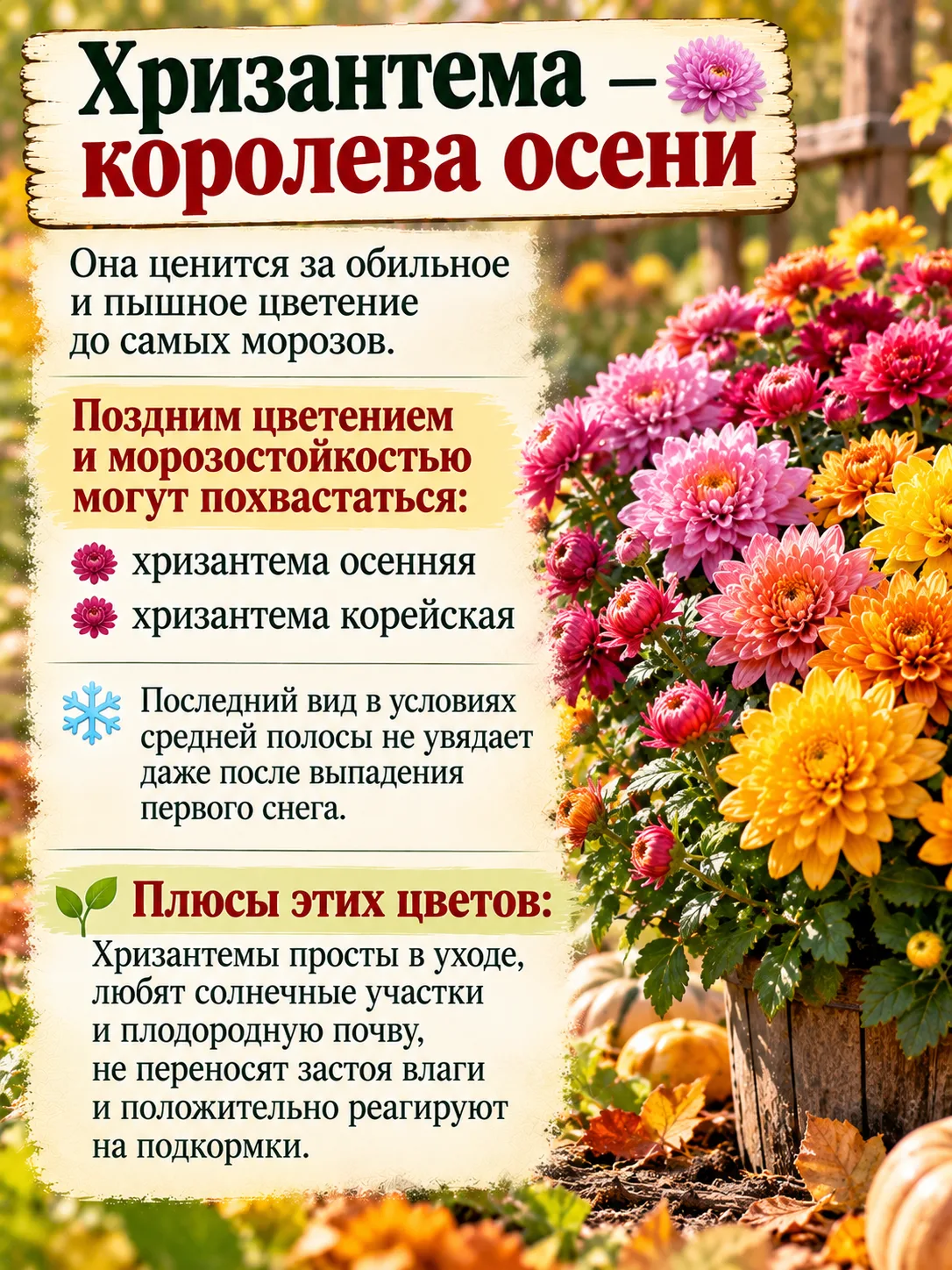 Оставьте любую реакцию 😊 Это лучшая благодарность для меня! ❤️
