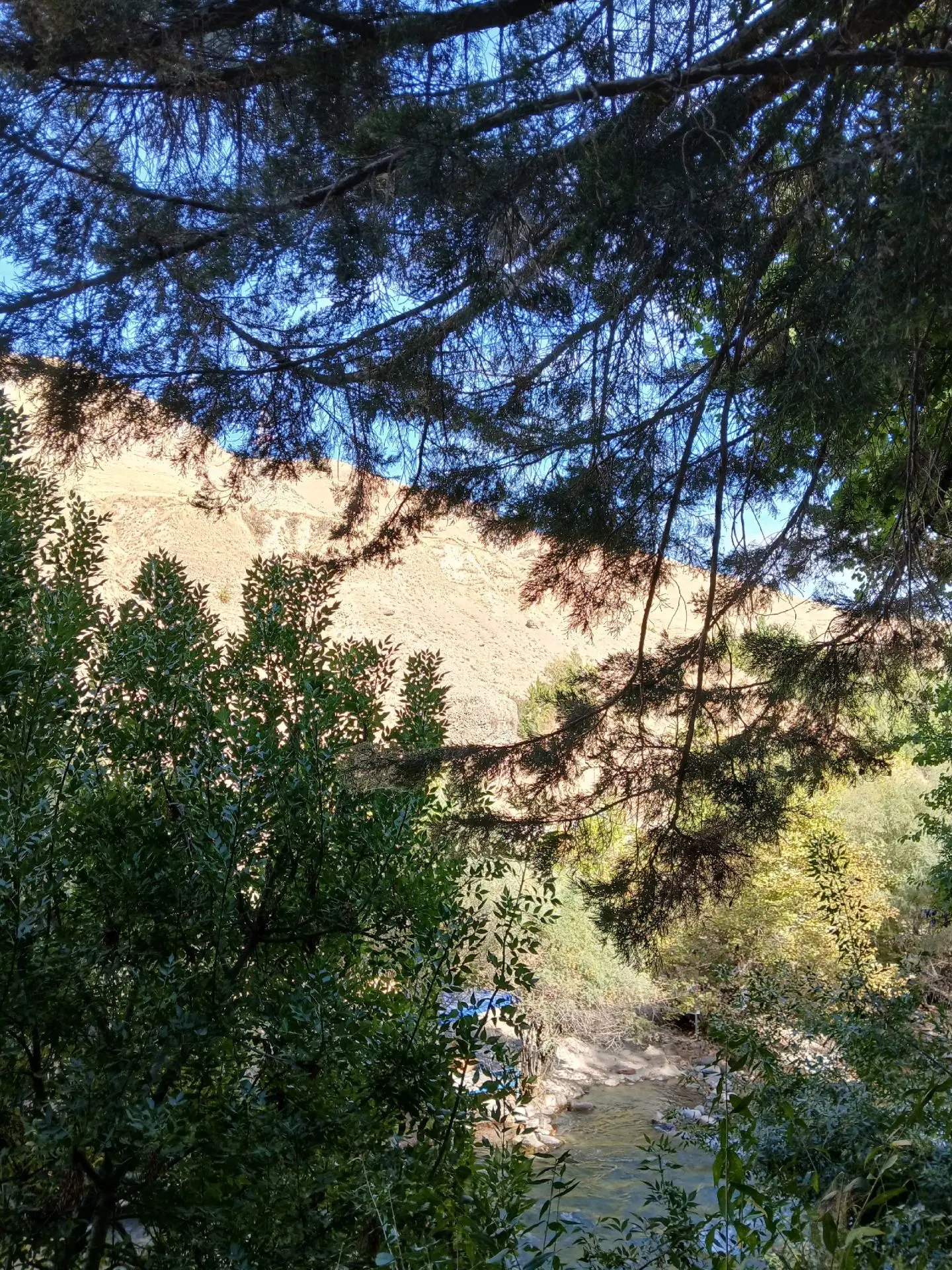 🟥 ЕВАНГЕЛИЕ ОТ ЛУКИ. ГЛАВА 5