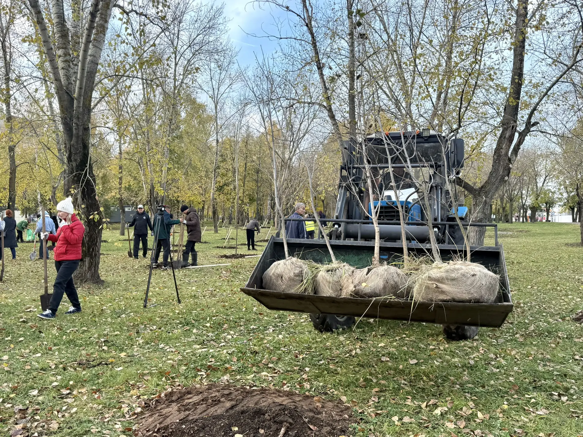 🌳 В Сидоровском парке стало больше деревьев!