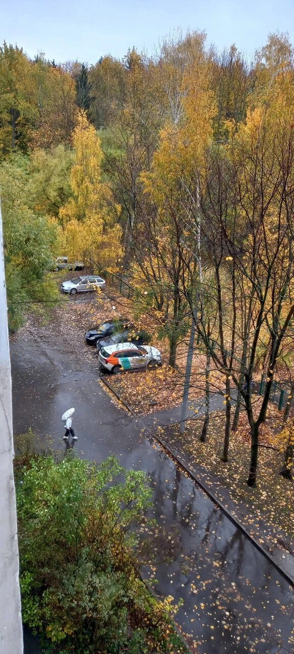 Вот такой день на Покров, 14.10.26.