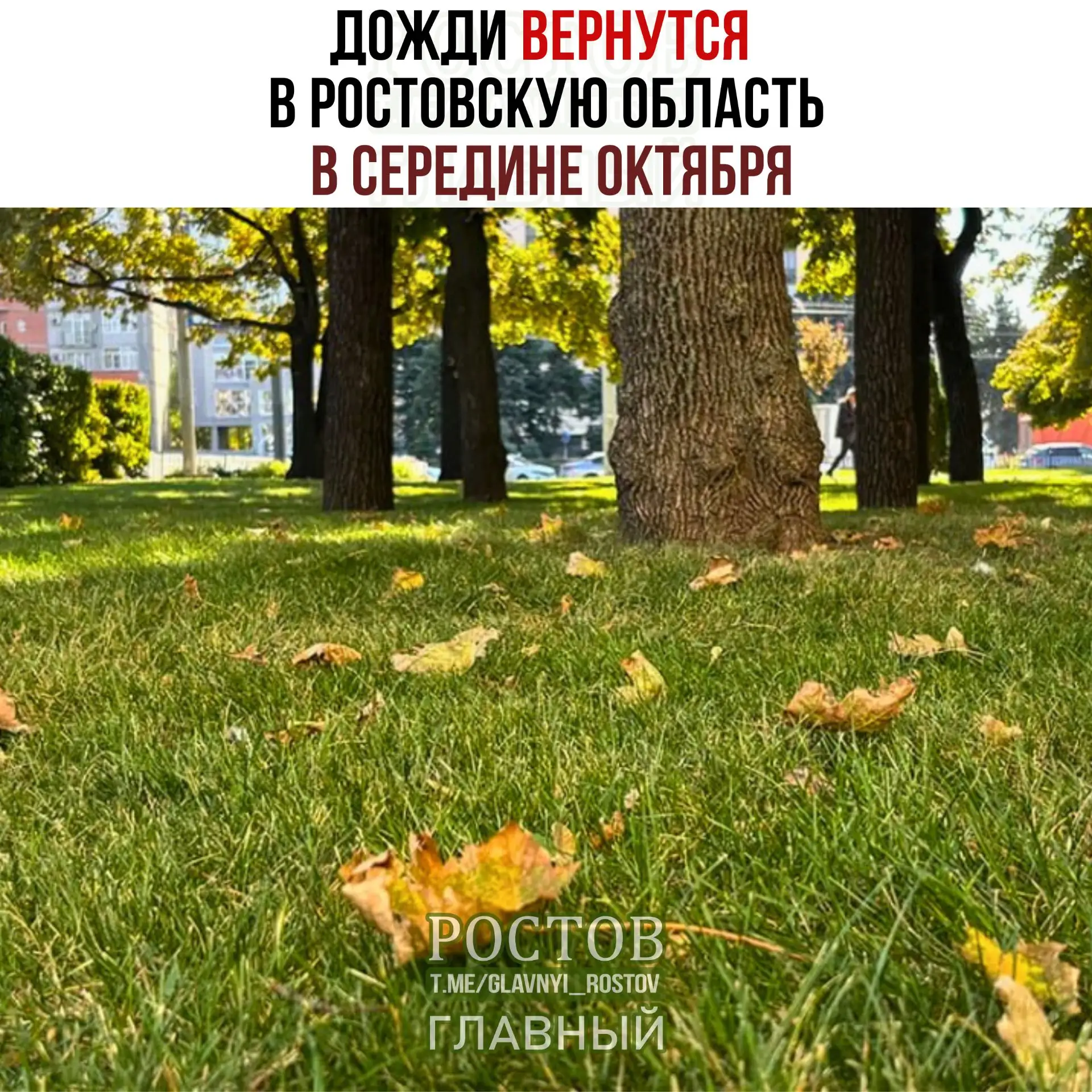 ☔️ Дожди вернутся в Ростовскую область в середине октября.