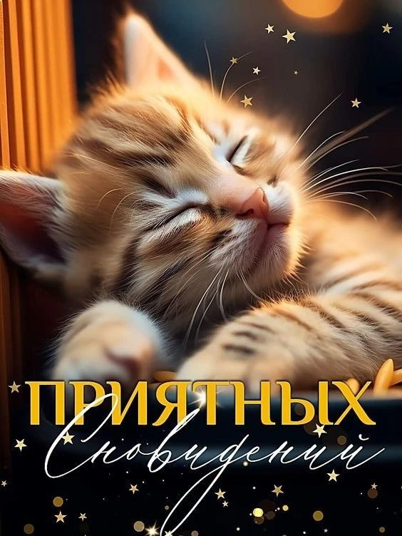 Красивые открытки❤️