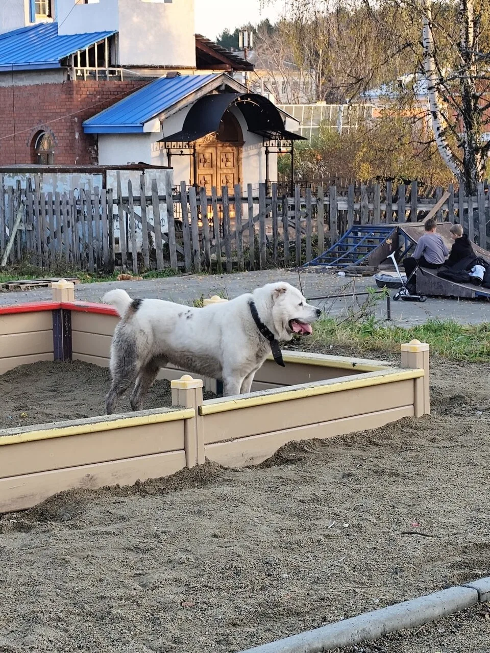 По поводу Алабая