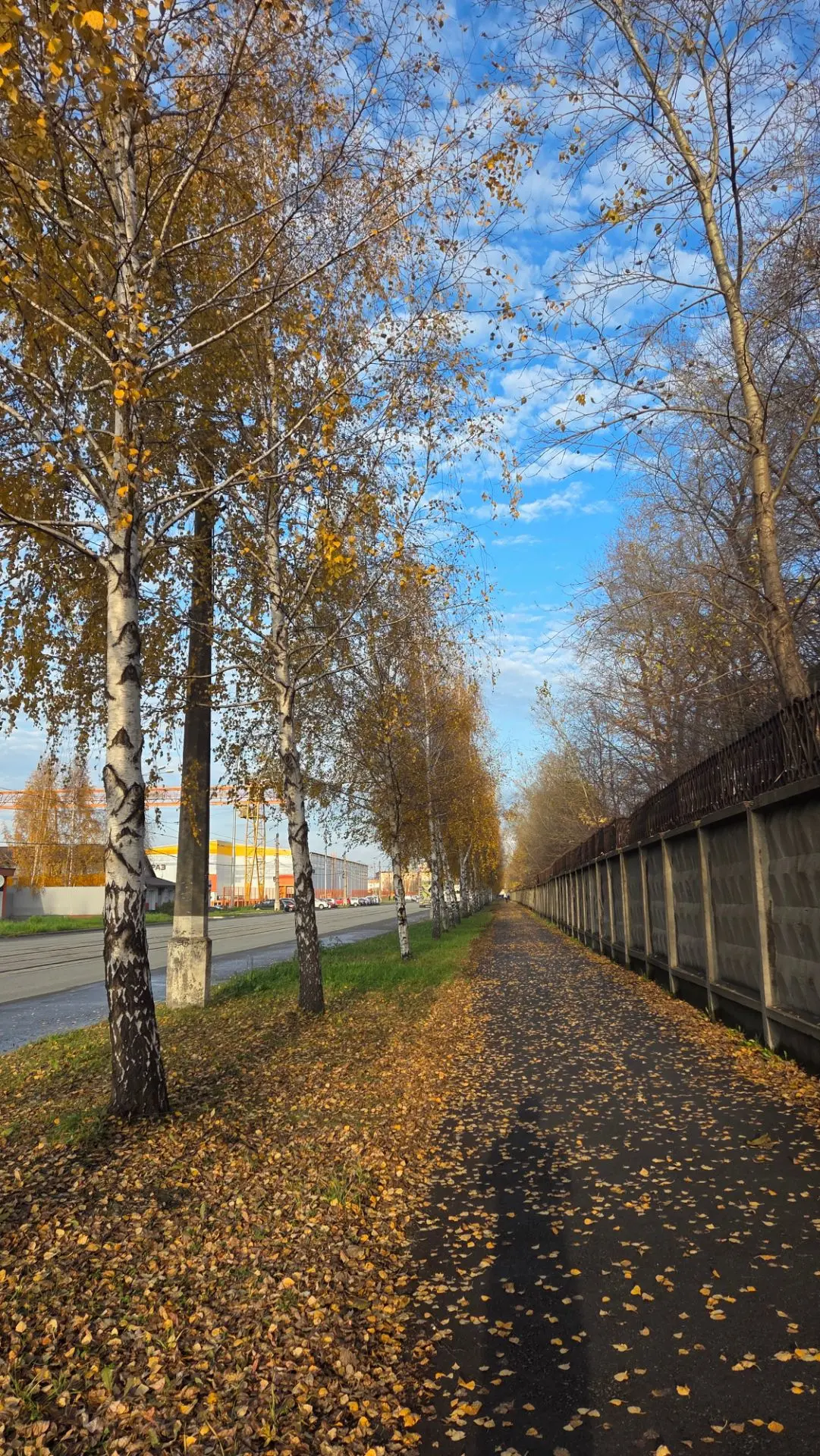 Еще городская осень.