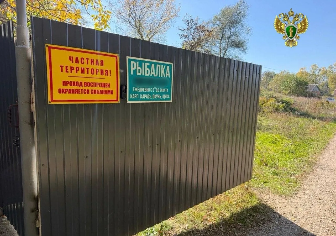 Он всех собак на себя, получается, взял. Его друг пытался помочь, кричал, свистел, пото...