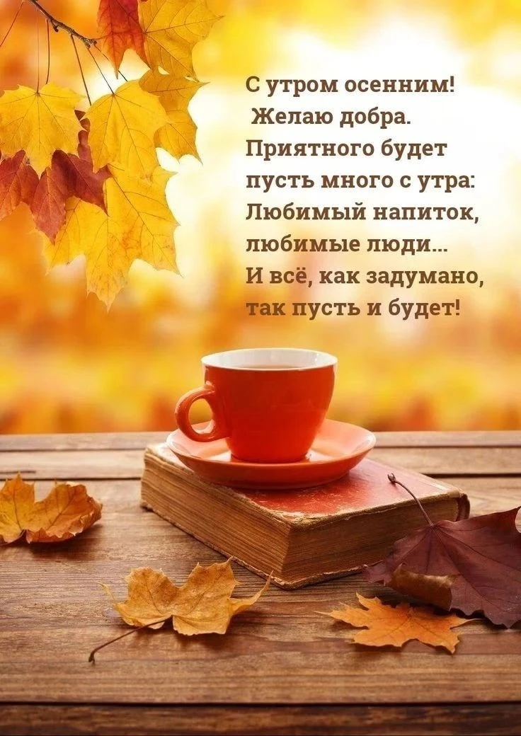 🎀 Красивые открытки