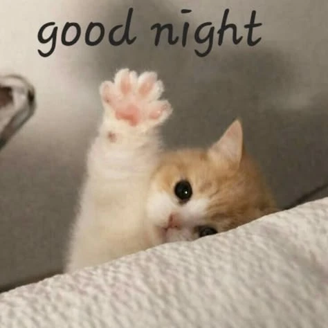 Всем доброй ночи, хорошки мои❤️