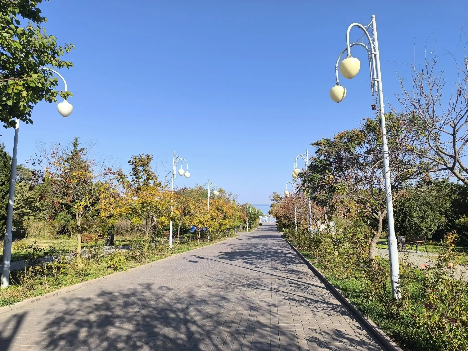 ☀️ Парк Ахматовой в октябре.
