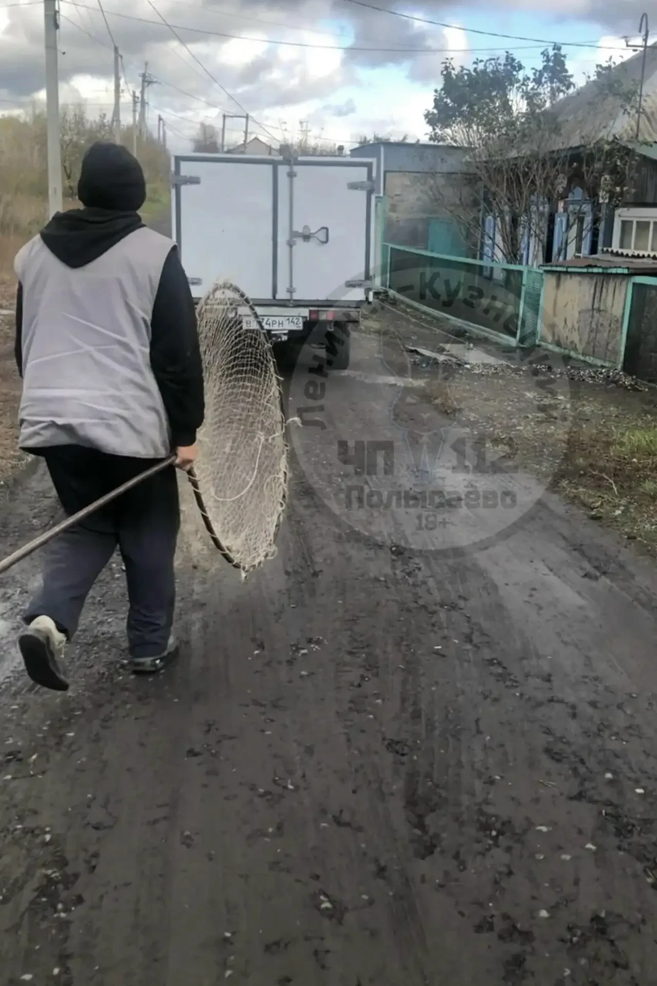 В Ленинске-Кузнецком отлавливают бездомных собак