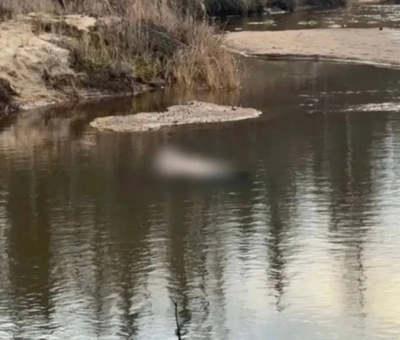 ⚡️Тело женщины обнаружили в реке в Новом Уренгое
