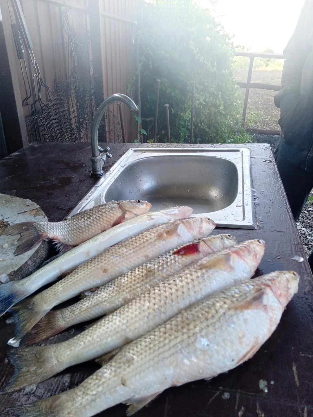 Х. Приютный , Каневской район🐠👍