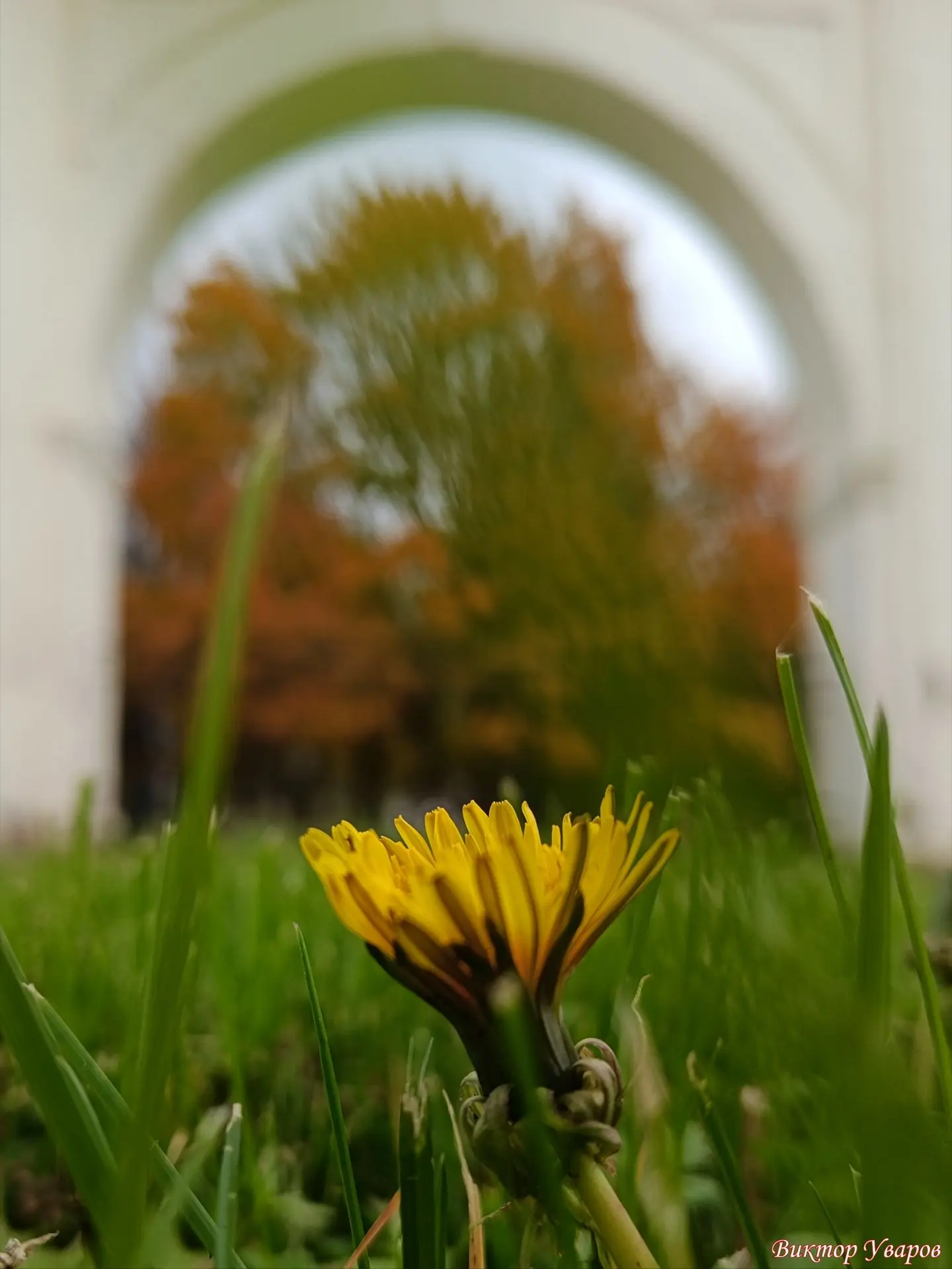 Осенний этюд 🍂🌼🍂