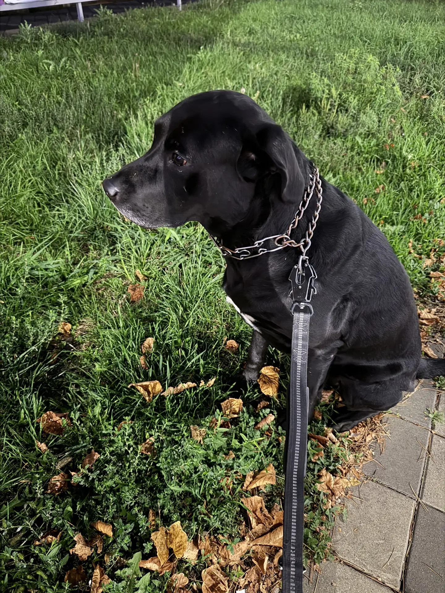 Доброе утро 🐕‍🦺