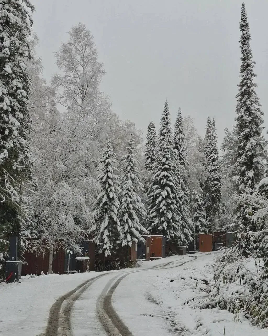 В Шерегеше снег таять не намерен