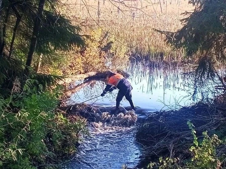 🚧 Дорожники обеспечили водоотвод на 18 участках дорог в девяти округах Новгородской об...