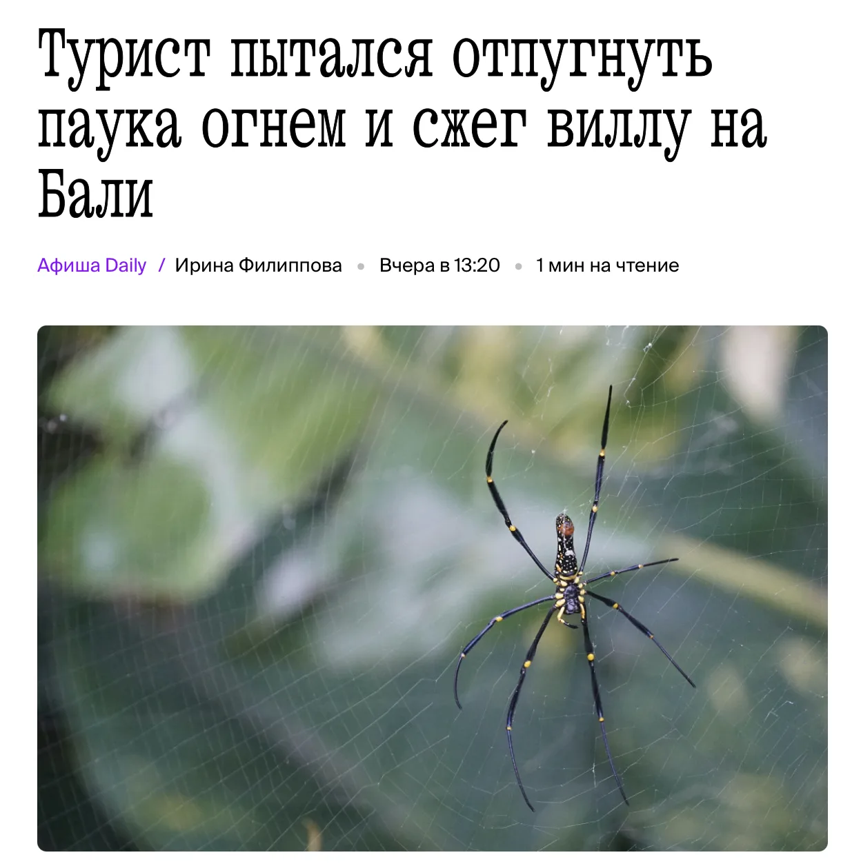 Вот вообще 0% осуждения. 100% понимания.