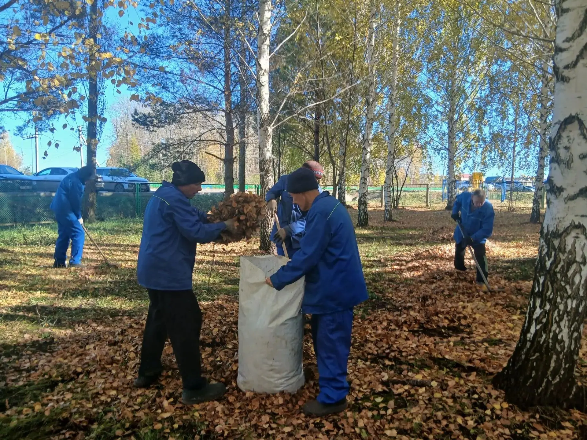 🍂Чисто там, где не мусорят, и там, где заботятся!