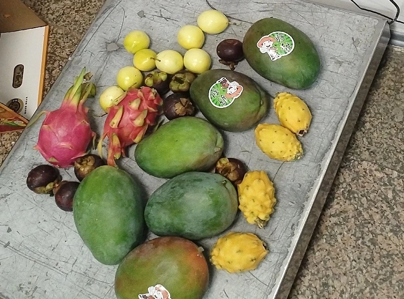 🍍 Туристы привезли из Китая чемоданы экзотических фруктов, но в аэропорту Улан-Удэ их ...